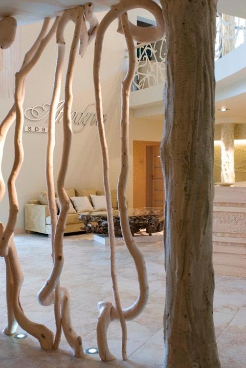 Afrodyta Spa & Wellness Resort オシノ・ルブシュ エクステリア 写真